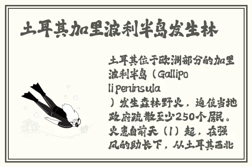 双人床上打扑克的全过程